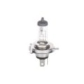 BOSCH Glühlampe, Fernscheinwerfer 1987302048