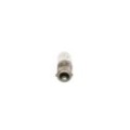 BOSCH Glühlampe, Blinkleuchte 1987302207