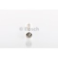 BOSCH Glühlampe, Innenraumleuchte 1987302225