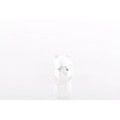 BOSCH Trucklight Glühlampe 1987302518