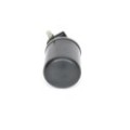 BOSCH Kraftstofffilter F026402844