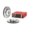 BREMBO TWO-PIECE DISCS LINE Bremsscheibe 09.C397.13