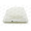 CHAMPION Luftfilter CAF100874P
