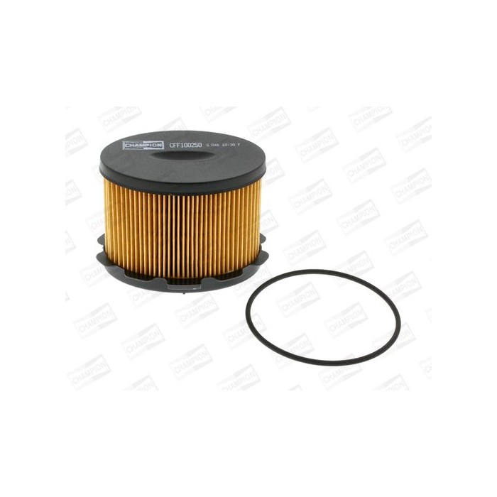 CHAMPION Kraftstofffilter CFF100250