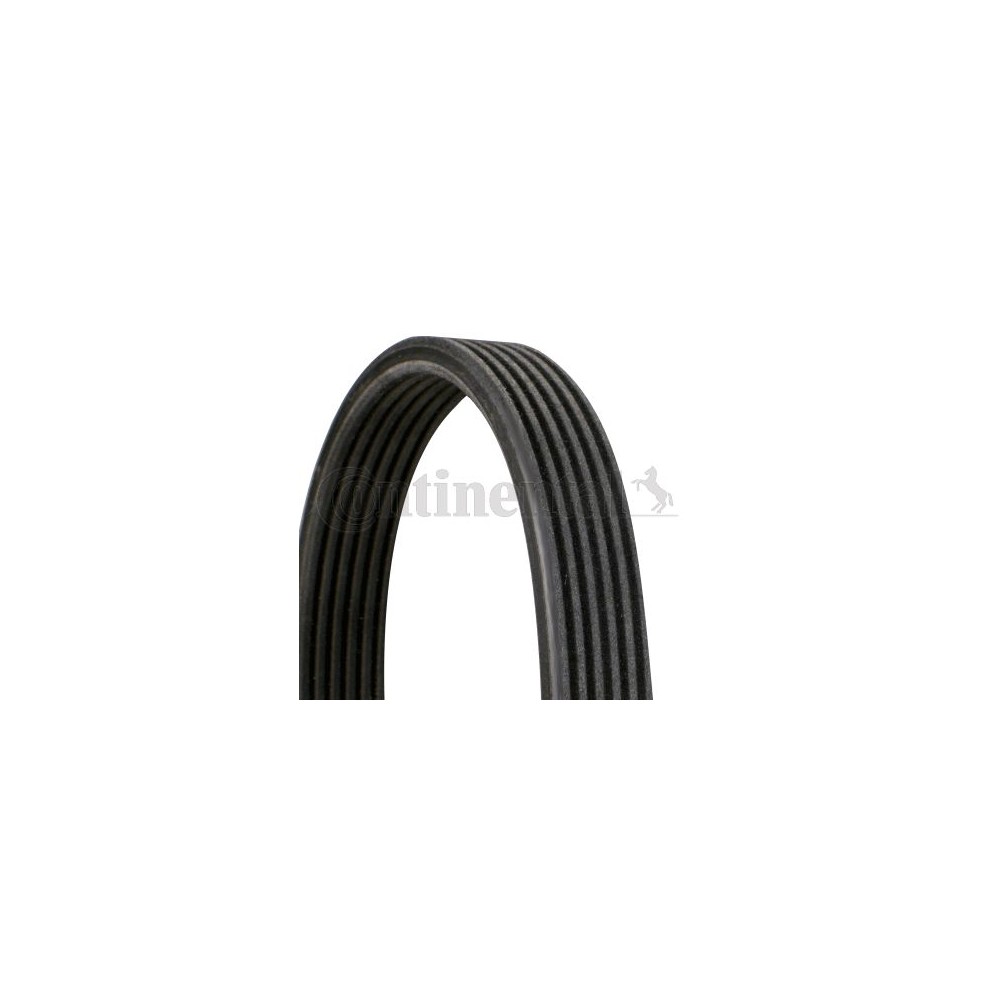 CONTINENTAL CTAM Keilrippenriemen 6DPK1817