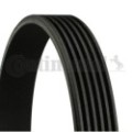 CONTINENTAL CTAM Keilrippenriemen 6PK1019ELAST