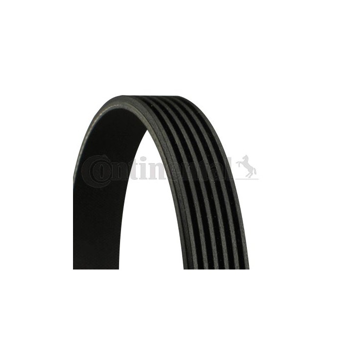 CONTINENTAL CTAM Keilrippenriemen 6PK1590