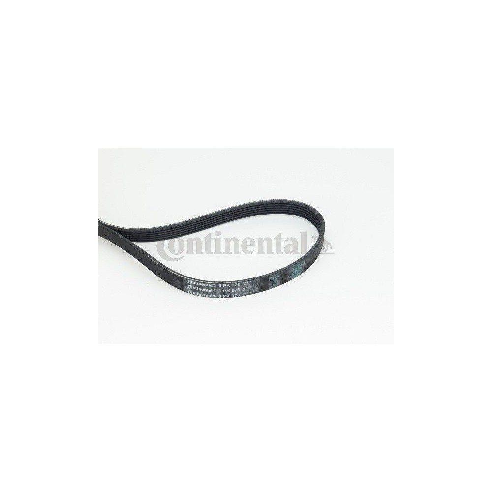 CONTINENTAL CTAM Keilrippenriemen 6PK976