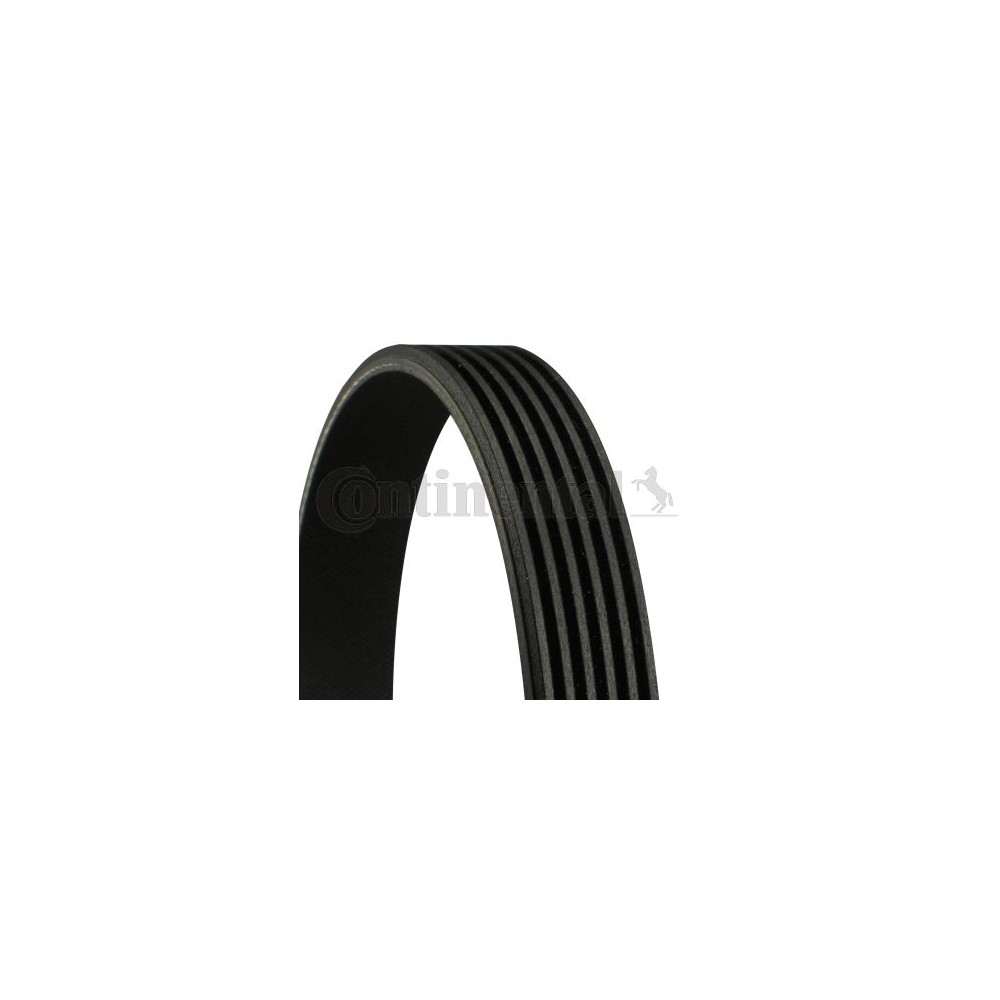 CONTINENTAL CTAM Keilrippenriemen 6PK989ELAST