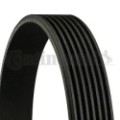 CONTINENTAL CTAM Keilrippenriemen 7PK1035