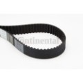 CONTINENTAL CTAM Zahnriemen CT989