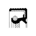 CORTECO Wellendichtring, Differential 12010674B