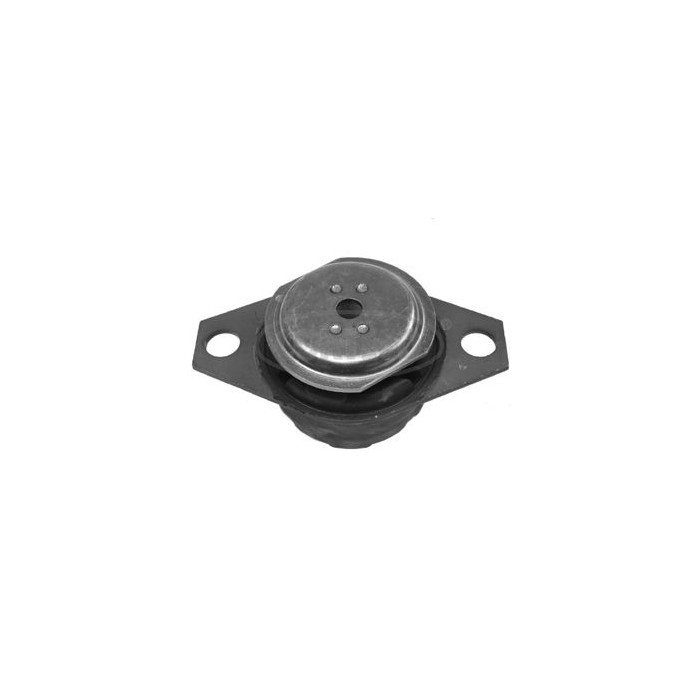 CORTECO Lagerung, Motor 80000300