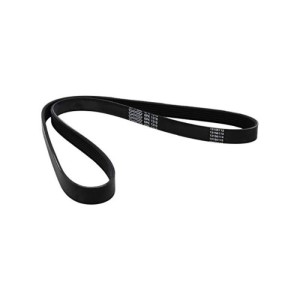 DAYCO Keilrippenriemen 6DPK1195