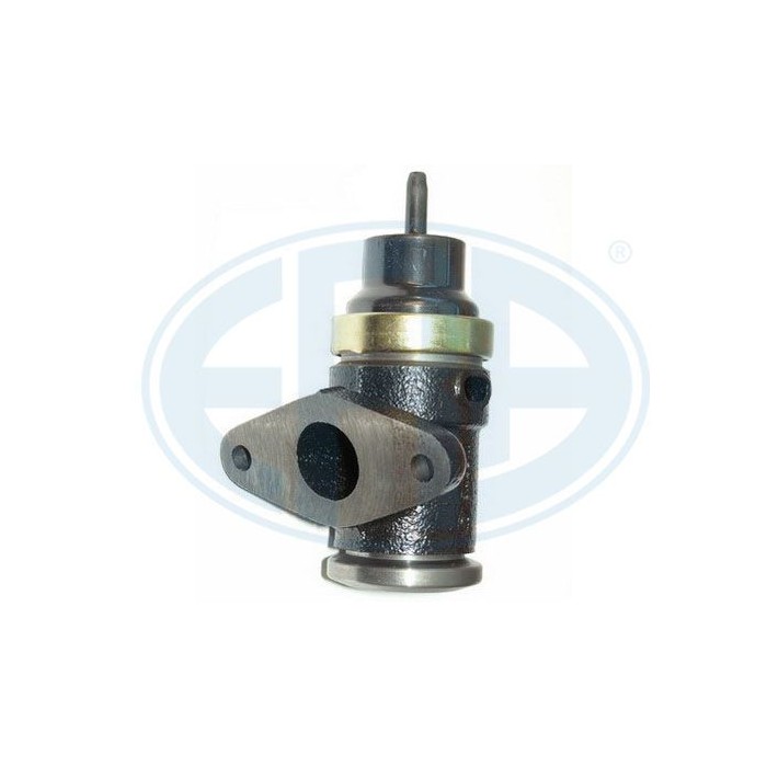 ERA OEM AGR-Ventil 555000