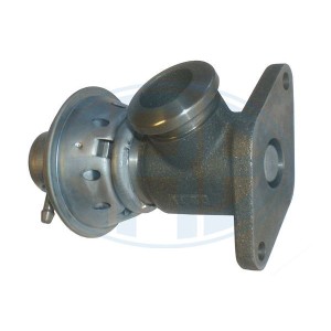 ERA OEM AGR-Ventil 555004