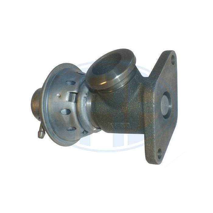 ERA OEM AGR-Ventil 555004