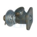 ERA OEM AGR-Ventil 555004