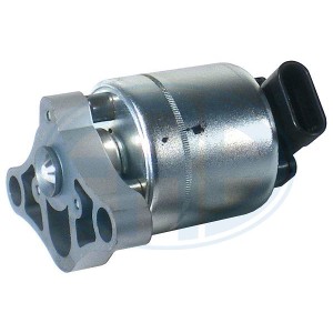 ERA OEM AGR-Ventil 555019