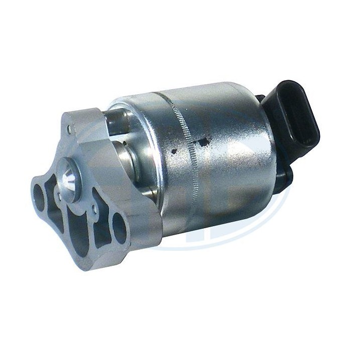 ERA OEM AGR-Ventil 555019