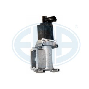 ERA OEM AGR-Ventil 555029