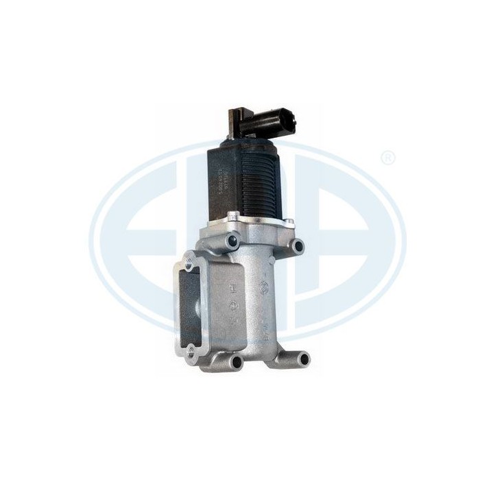 ERA OEM AGR-Ventil 555029