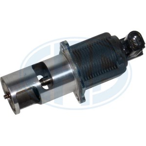 ERA OEM AGR-Ventil 555031