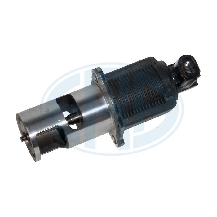 ERA OEM AGR-Ventil 555031