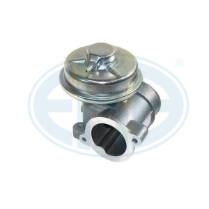 ERA OEM AGR-Ventil 555071