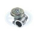ERA OEM AGR-Ventil 555071