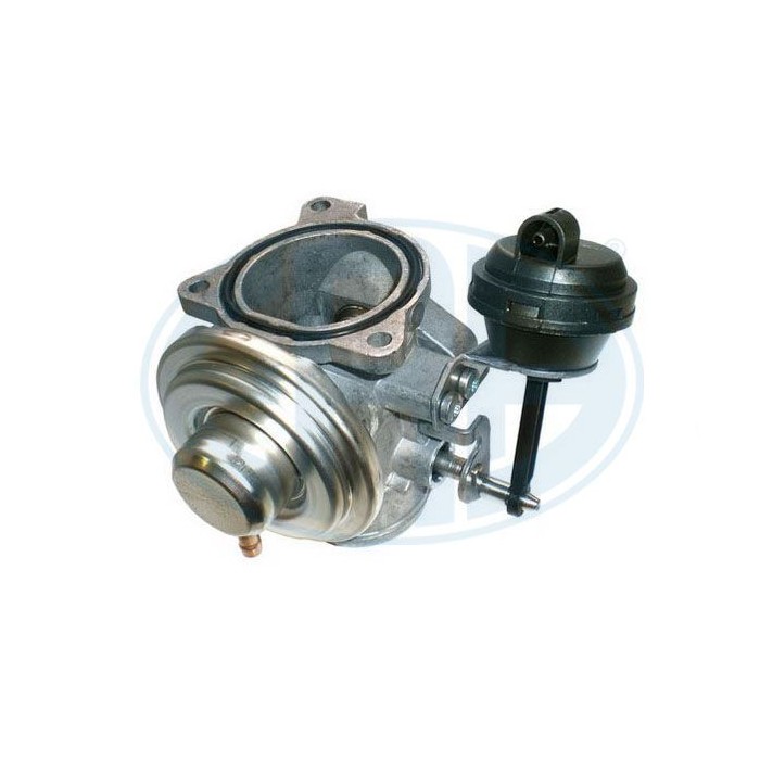 ERA OEM AGR-Ventil 555074