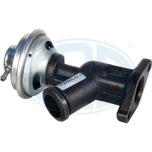 ERA OEM AGR-Ventil 555206