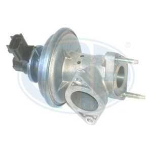 ERA OEM AGR-Ventil 555243
