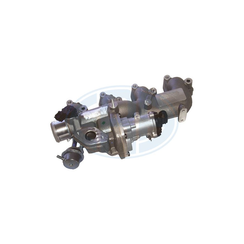 ERA OEM AGR-Ventil 555317