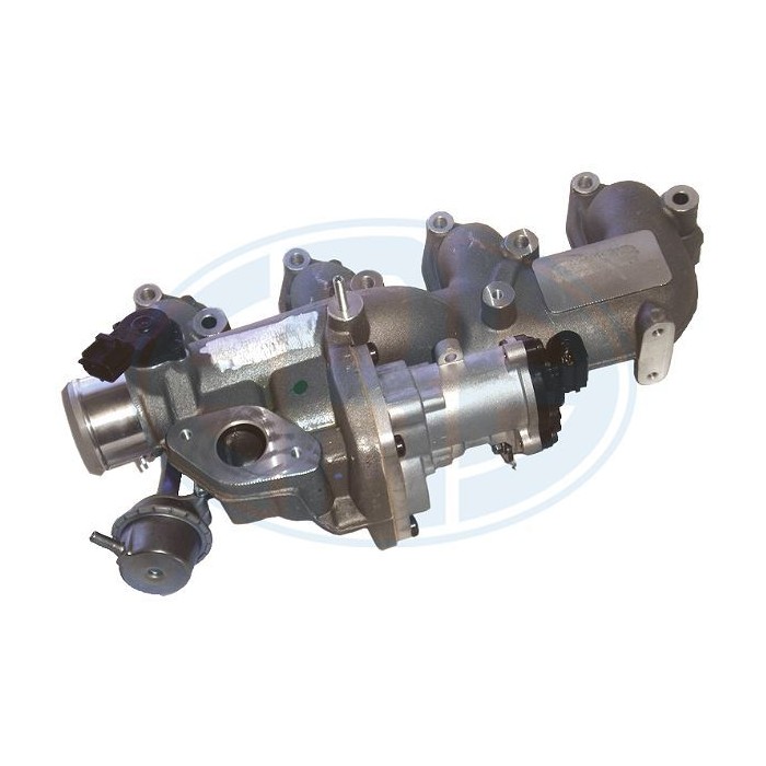 ERA OEM AGR-Ventil 555317