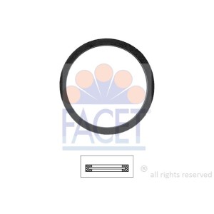 FACET Made in Italy - Dichtung, Thermostat 7.9502