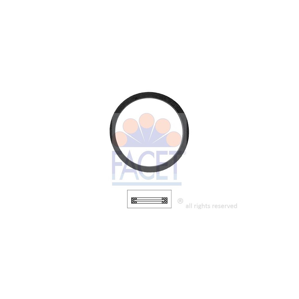 FACET Made in Italy - Dichtung, Thermostat 7.9502