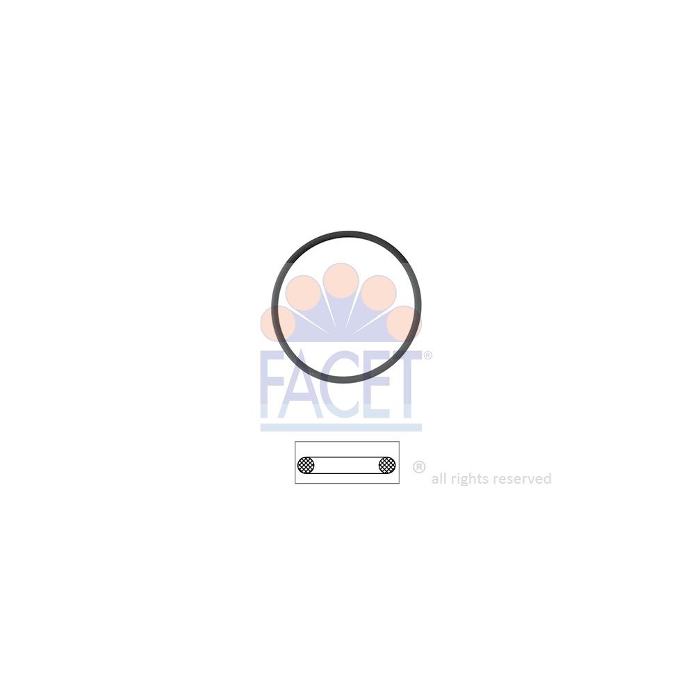 FACET Made in Italy - Dichtung, Thermostat 7.9550