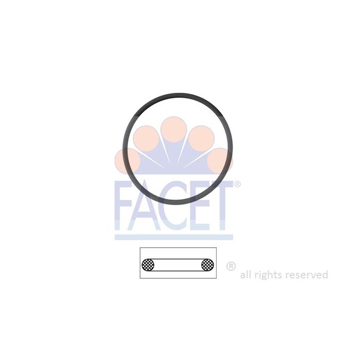 FACET Made in Italy - Dichtung, Thermostat 7.9550