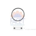 FACET Made in Italy - Dichtung, Thermostat 7.9550