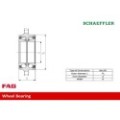 FAG Radlagersatz 713667780