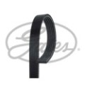 GATES Micro-V® Keilrippenriemen 5PK1153