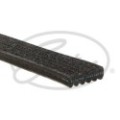 GATES Micro-V® Keilrippenriemen 6DPK1195