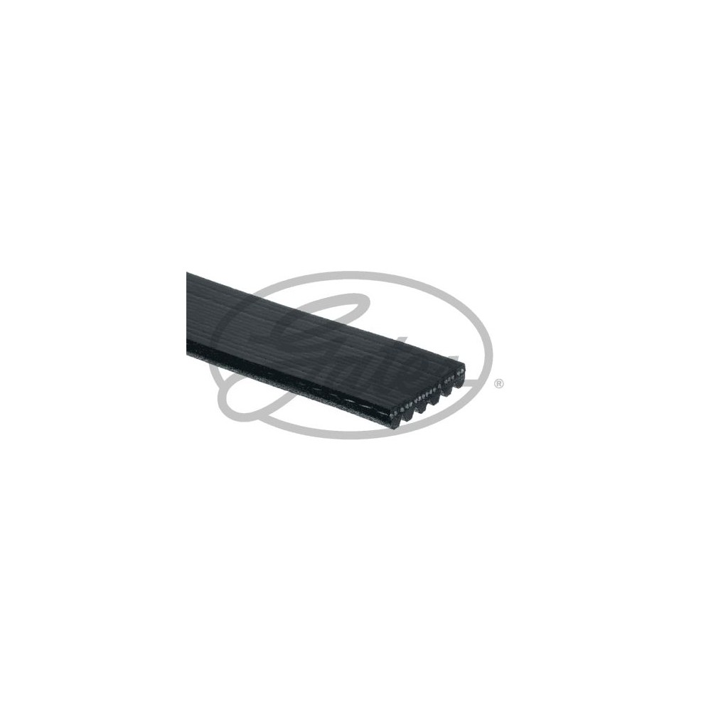 GATES Micro-V® Keilrippenriemen 6PK1003
