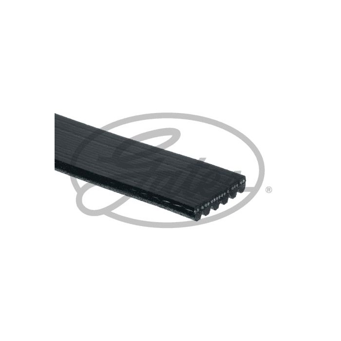GATES Micro-V® Keilrippenriemen 6PK975