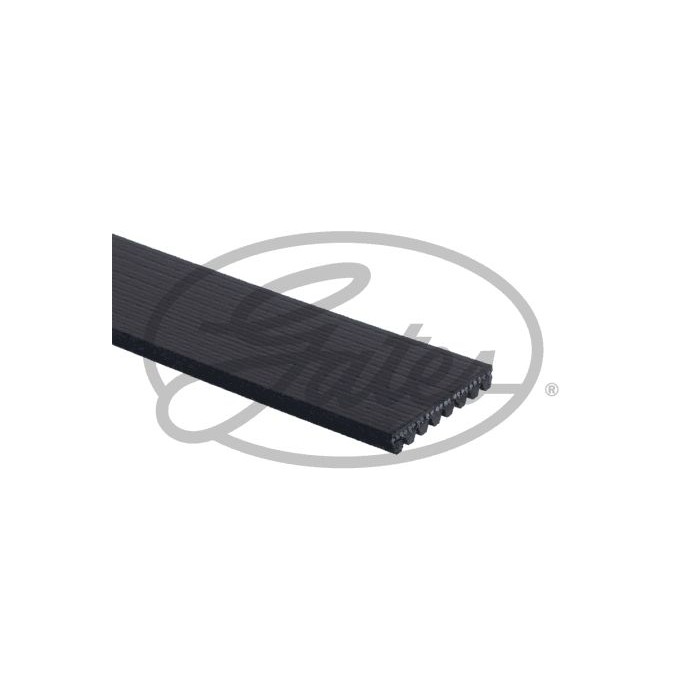 GATES Micro-V® Keilrippenriemen 8PK2035