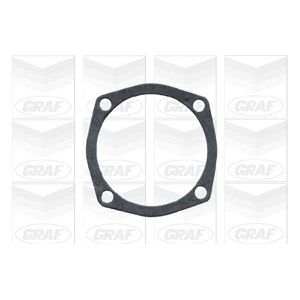 GRAF Wasserpumpe PA101