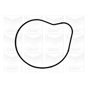 GRAF Wasserpumpe PA1040