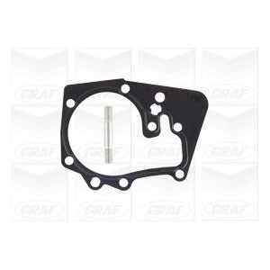 GRAF Wasserpumpe PA1043