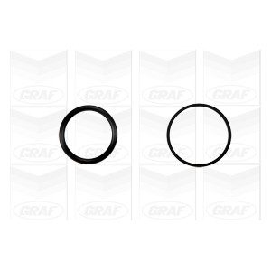 GRAF Wasserpumpe PA1045